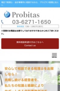 プロビタス税理士法人は港区の外資系企業を中心に100社以上の実績あり